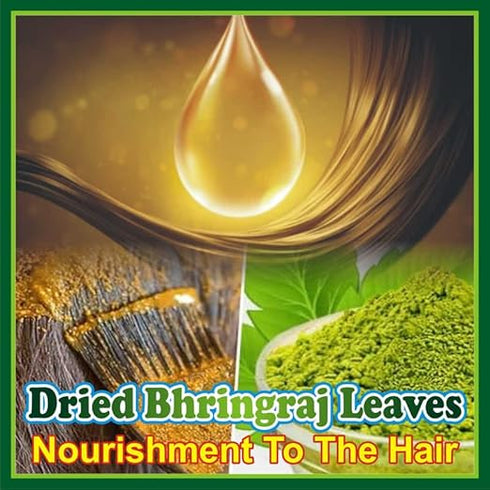 Jioo Organics Bhringraj Dry Leaves and Dry Brahmi Leaves